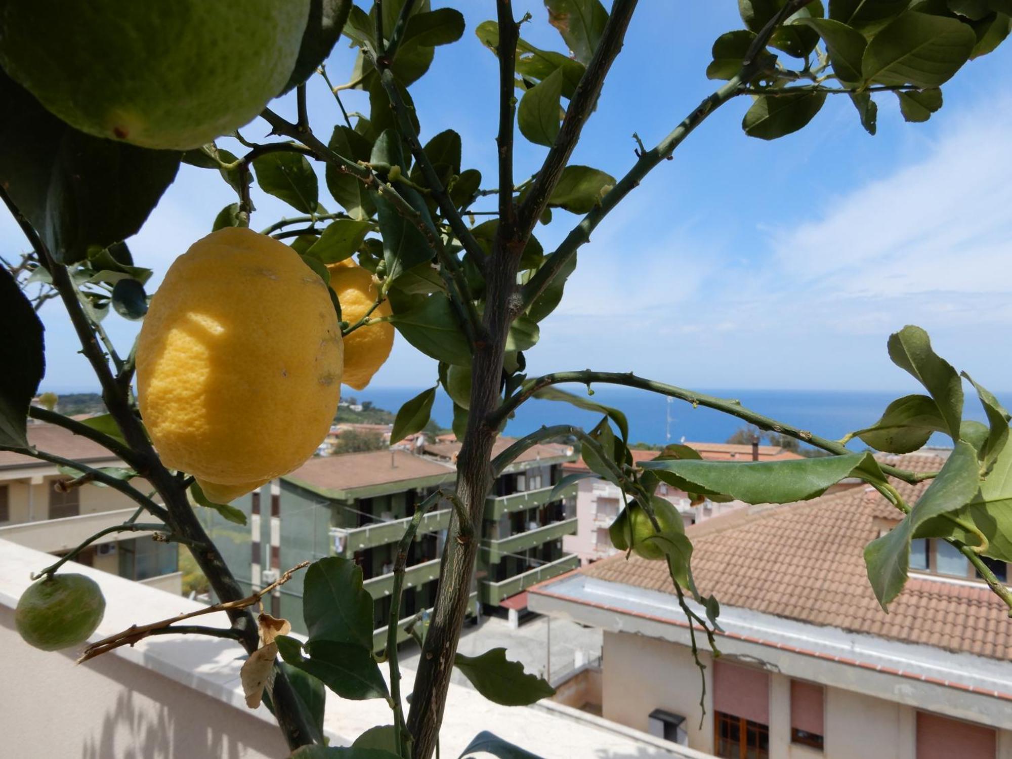 Middle Town Palace Tropea Eksteriør billede